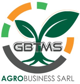 Logo GBTMS